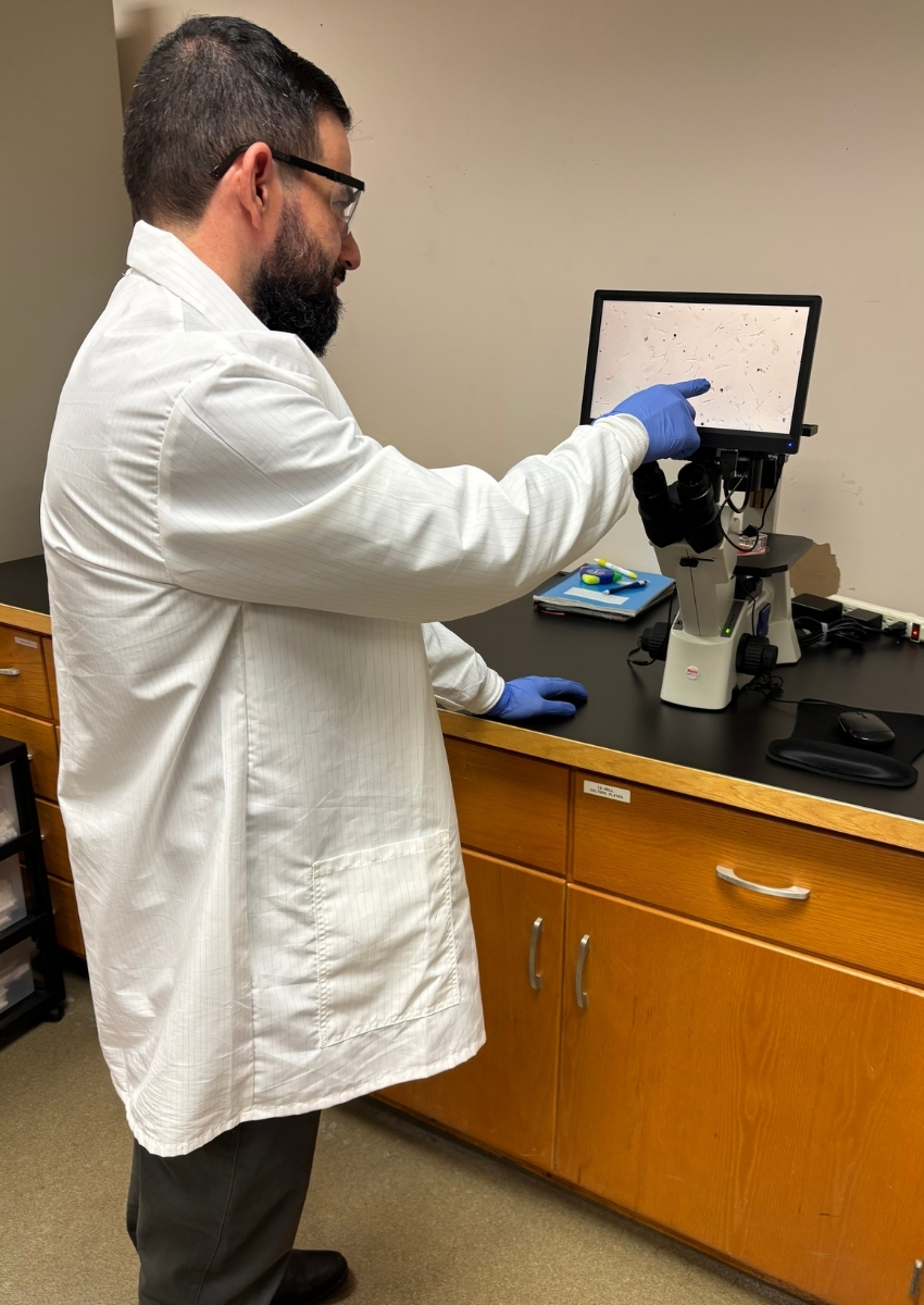 Jorge L Almodóvar Montañez